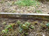 image of grave number 790514